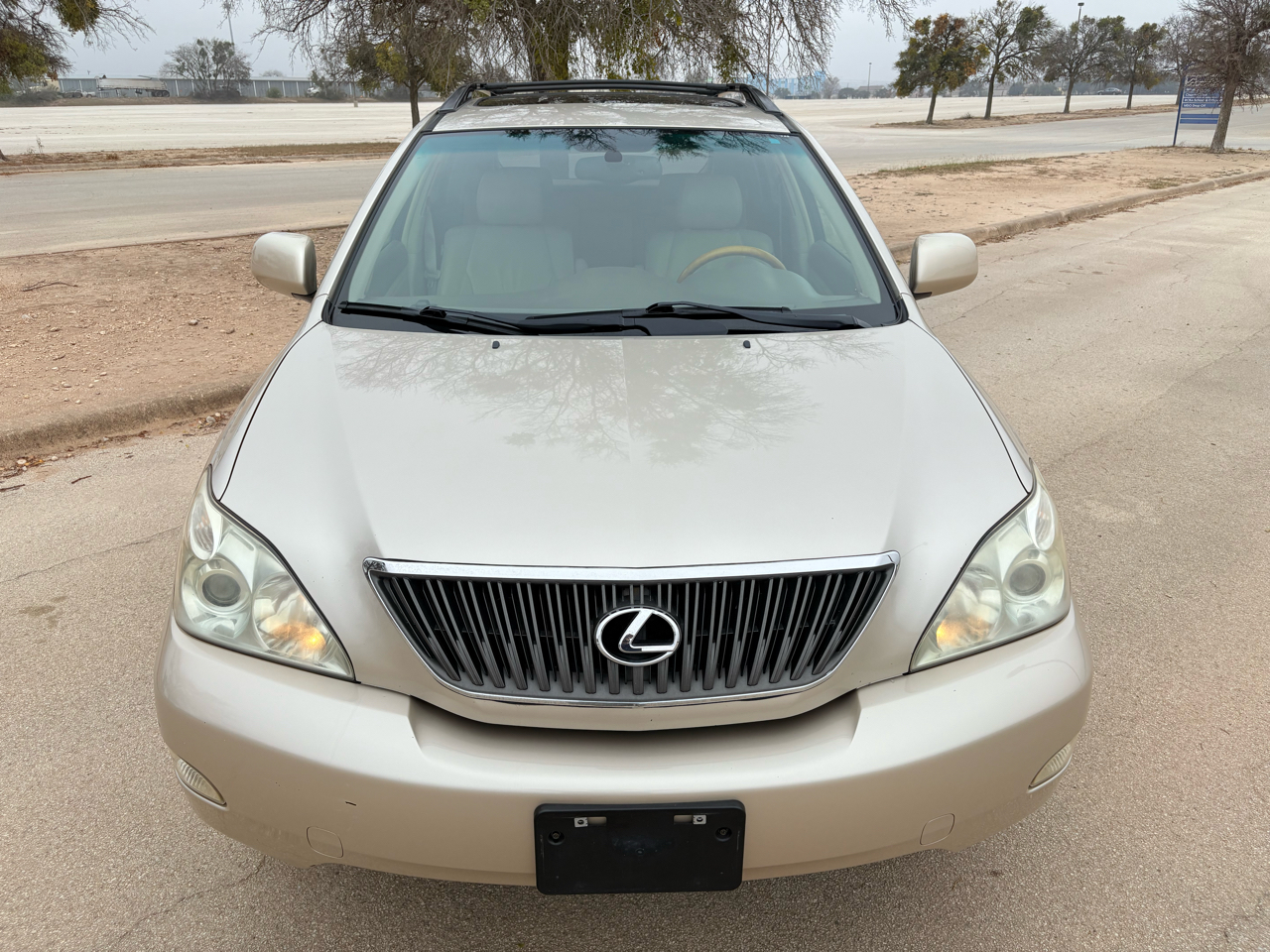Lexus RX 330 4dr SUV 2006