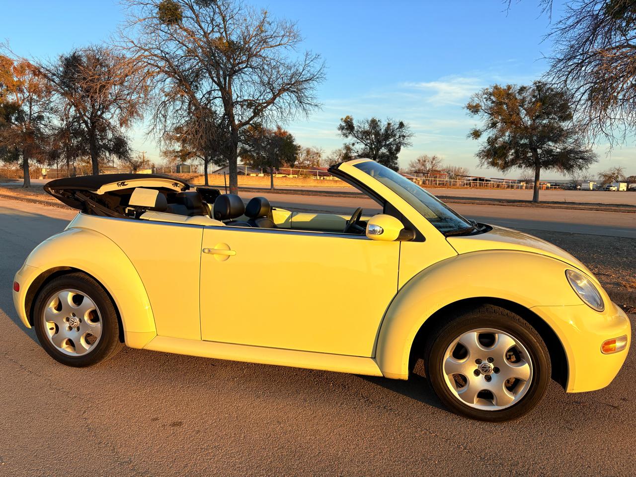 Volkswagen New Beetle Convertible 2dr Convertible GLS Turbo Auto 2003