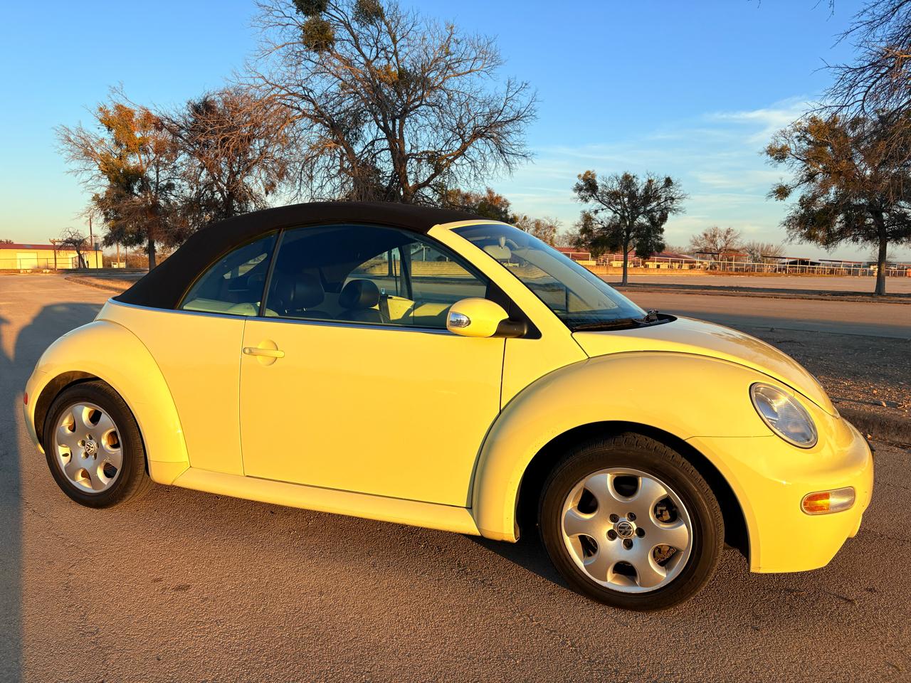 Volkswagen New Beetle Convertible 2dr Convertible GLS Turbo Auto 2003