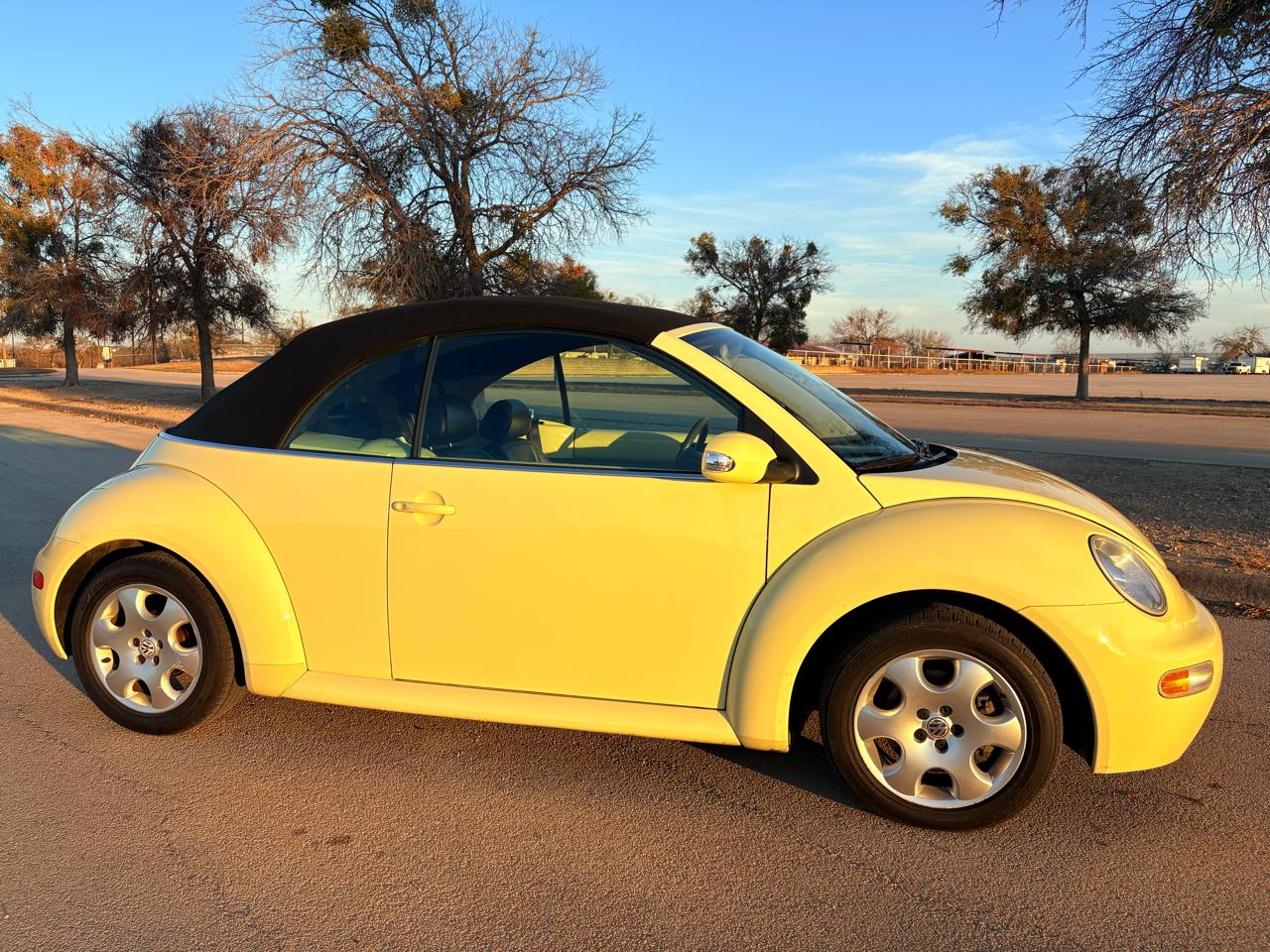 Volkswagen New Beetle Convertible 2dr Convertible GLS Turbo Auto 2003
