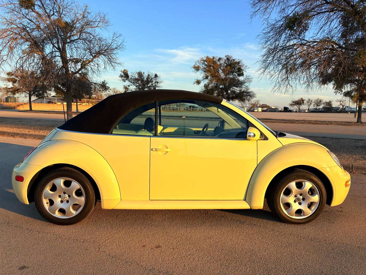 Volkswagen New Beetle Convertible 2dr Convertible GLS Turbo Auto 2003