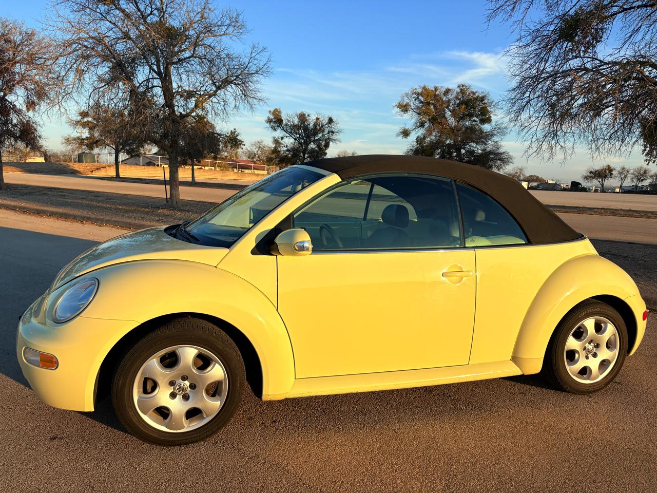 Volkswagen New Beetle Convertible 2dr Convertible GLS Turbo Auto 2003