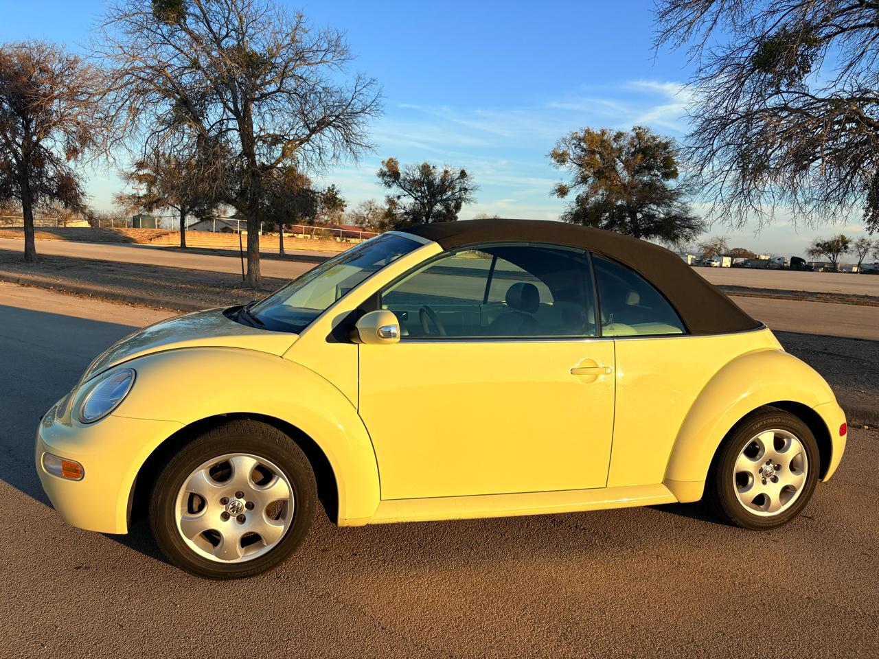 Volkswagen New Beetle Convertible 2dr Convertible GLS Turbo Auto 2003