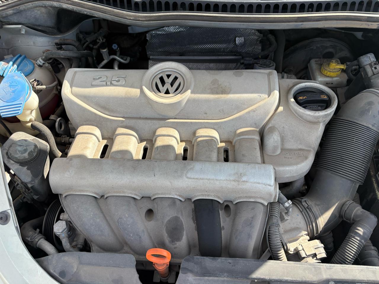 Volkswagen New Beetle Convertible  2009