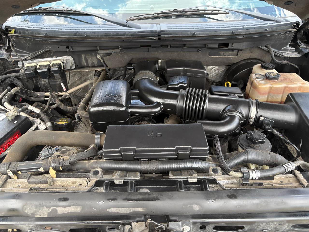 Ford F-150 4WD SuperCrew 145" FX4 2009