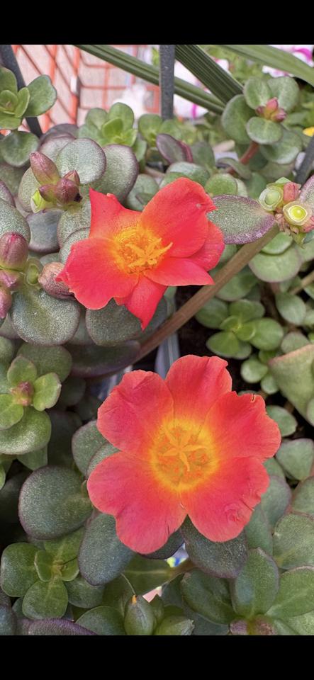 Mercedes-Benz C-Class  2010