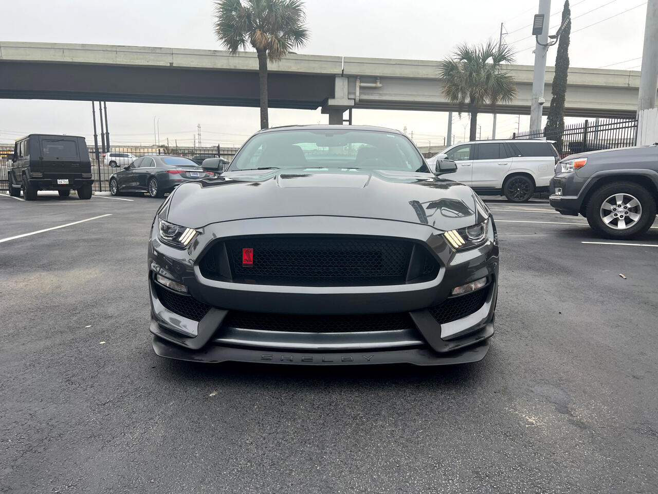 2019 Ford Shelby GT350R GT350R