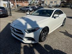 2019 Mercedes-Benz CLS-Class 