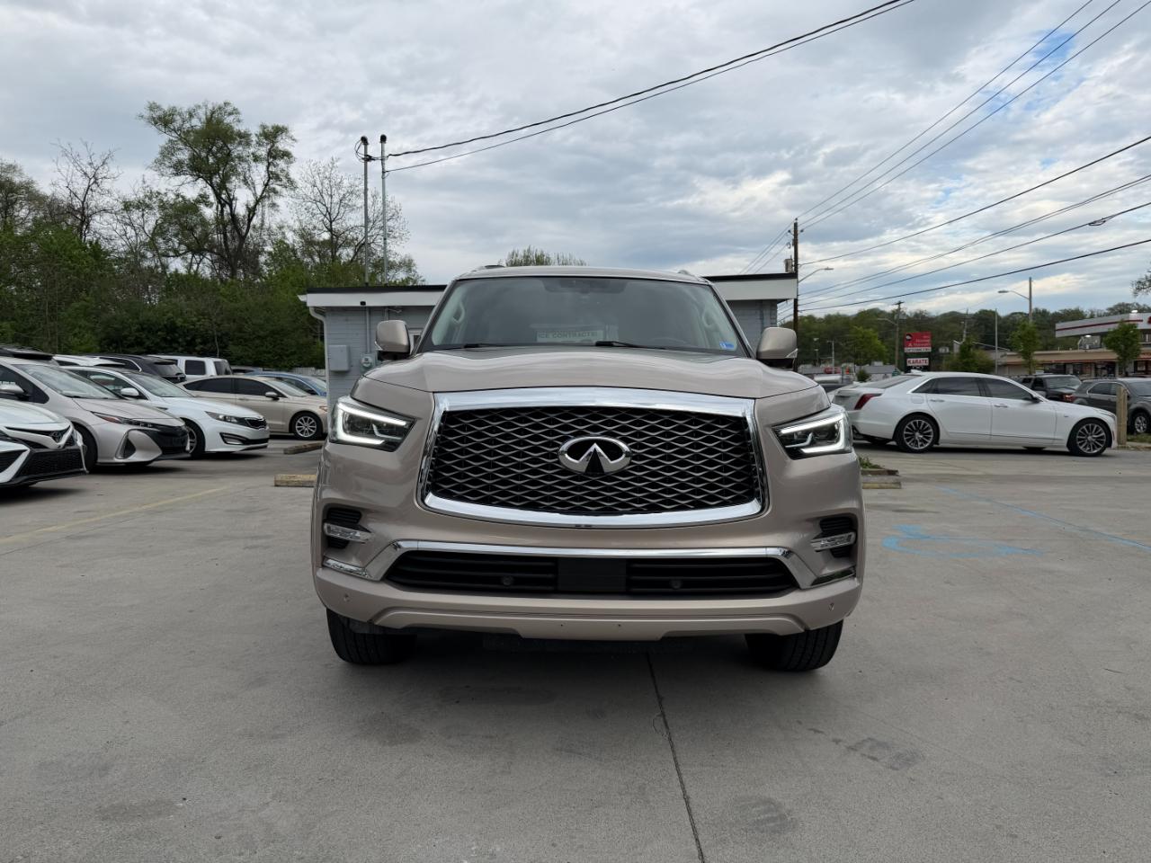 Infiniti QX80 4WD 2018