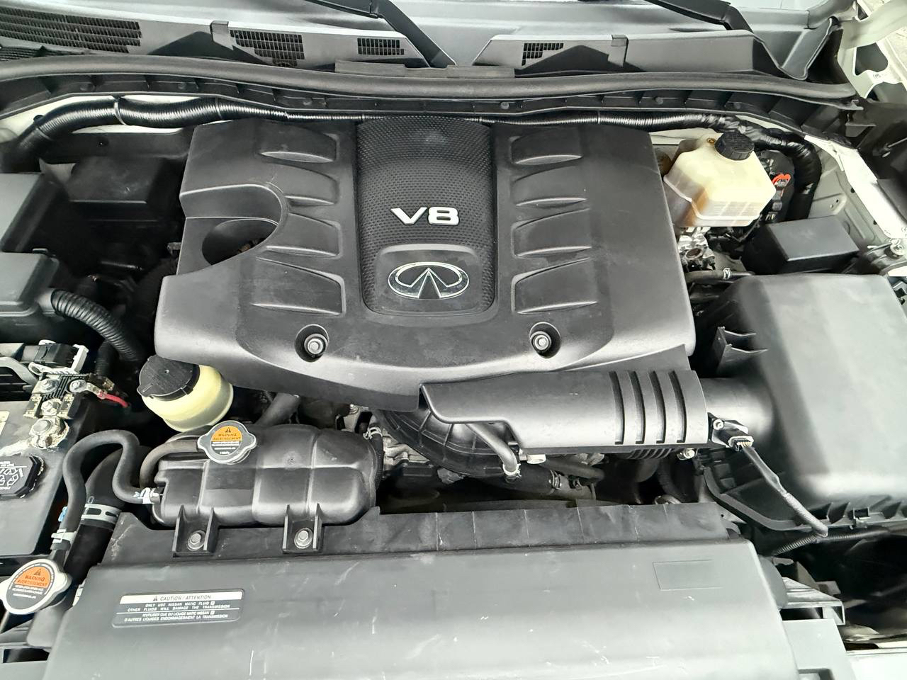 Infiniti QX80 4WD 2017