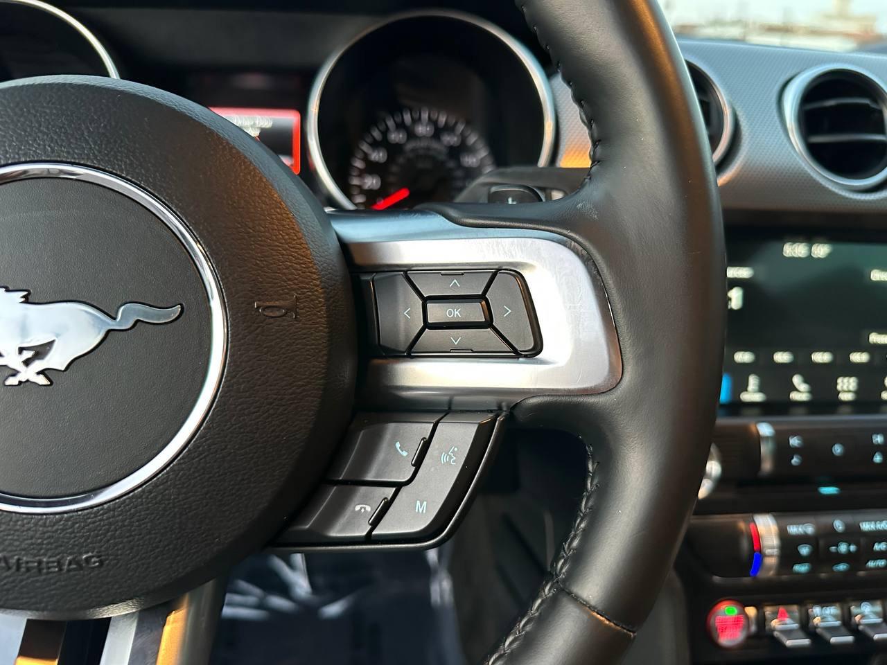 Ford Mustang EcoBoost Coupe 2018