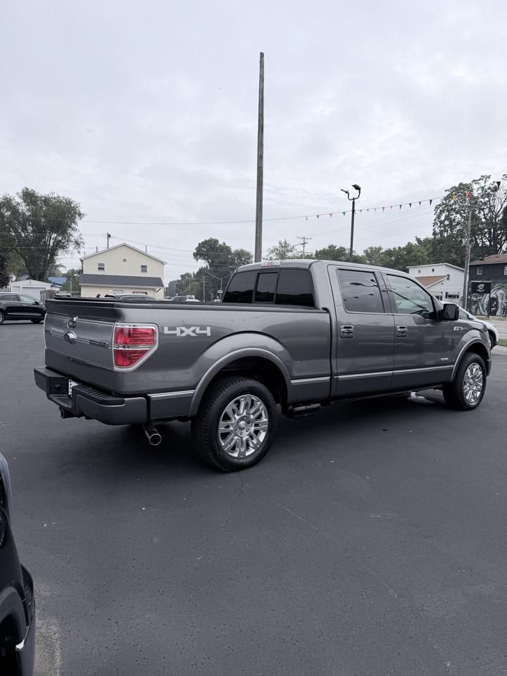 Ford F-150 4WD SuperCrew 145" Platinum 2013