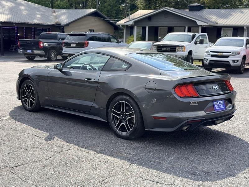 Ford Mustang  2019