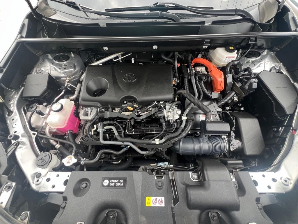 Toyota RAV4 Hybrid LE AWD (Natl) 2022