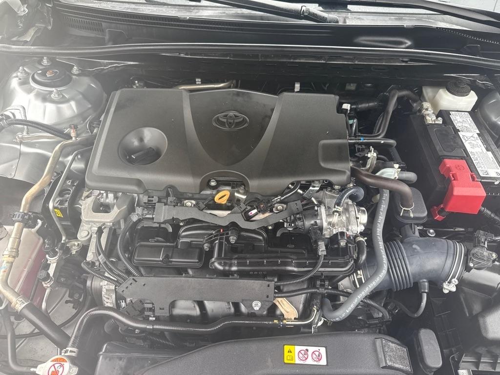 Toyota Camry XLE Auto (Natl) 2024