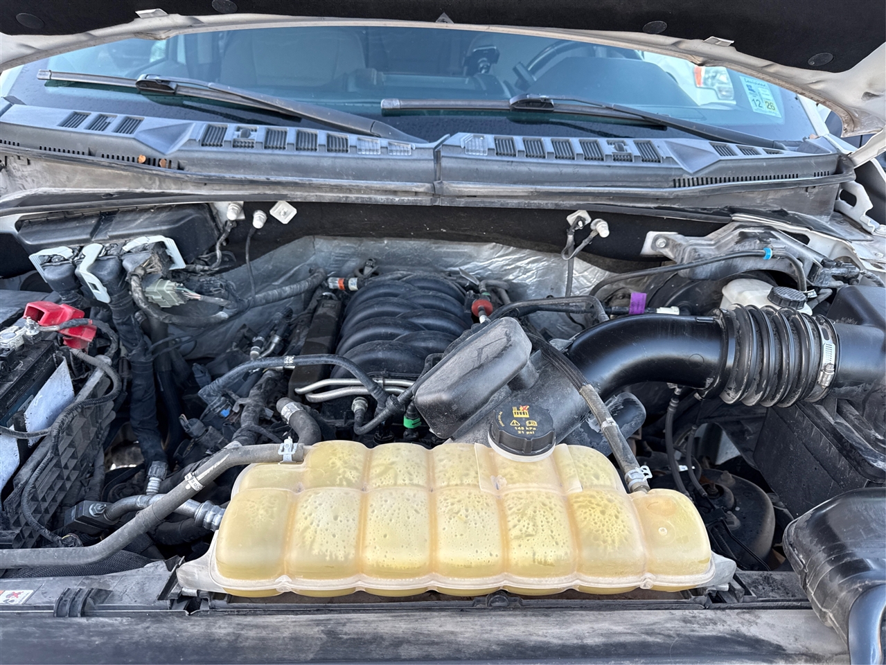 Ford F-150 XLT SuperCrew 5.5-ft. Bed 4WD 2019