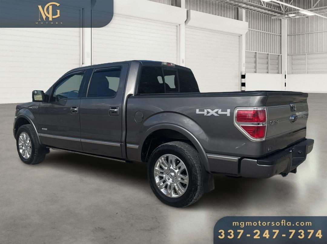 Ford F-150 Platinum SuperCrew 4WD 2014