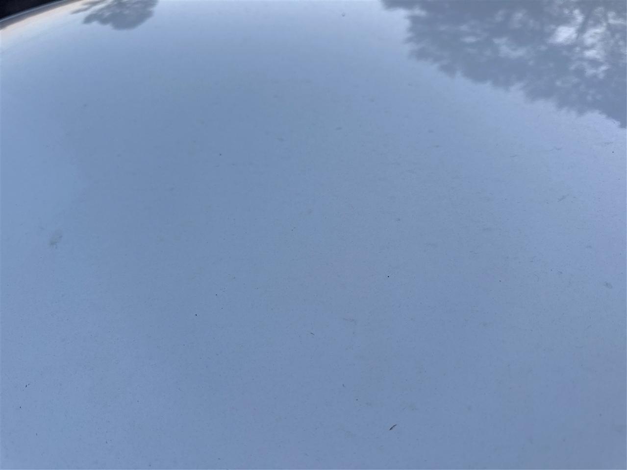 Ford Escape Active 2024