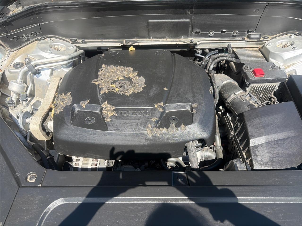 Volvo XC90 T5 Momentum 2021