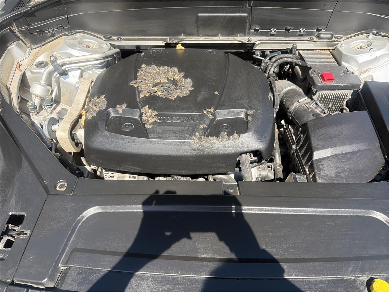 Volvo XC90 T5 Momentum 2021