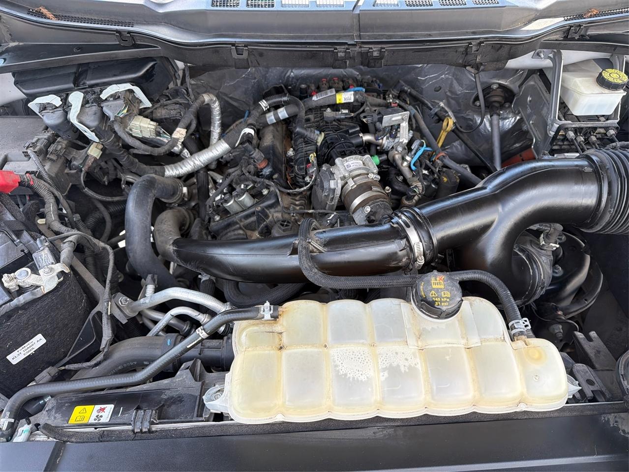 Ford F-150 XLT SuperCrew 5.5-ft. Bed 2WD 2021