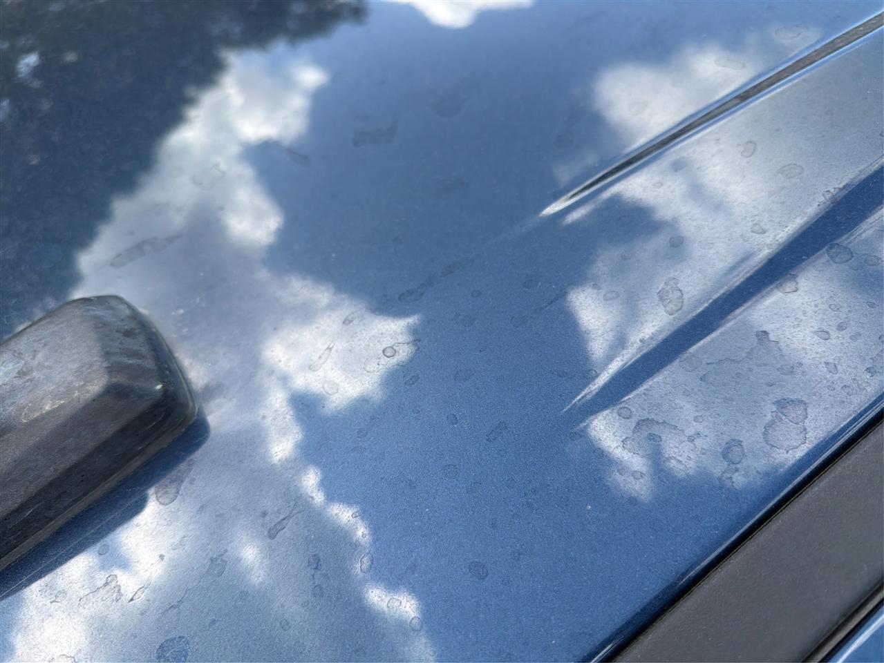 Chevrolet Silverado 1500 LT Crew Cab 2WD 2019