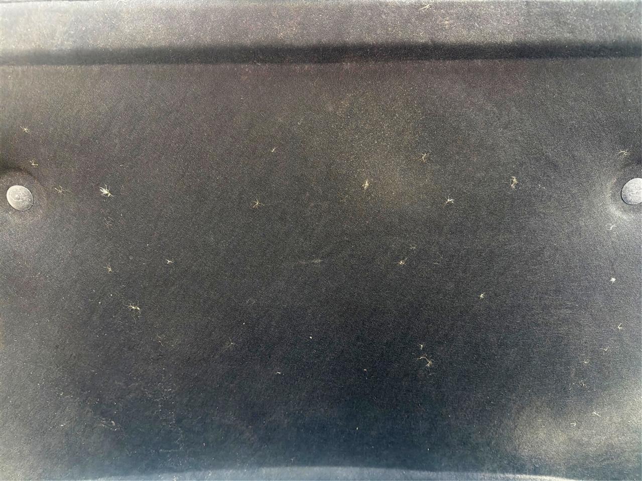 GMC Sierra 1500 AT4 Crew Cab Short Box 4WD 2021