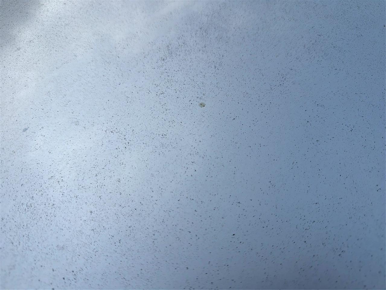 Toyota 4Runner SR5 2WD 2018