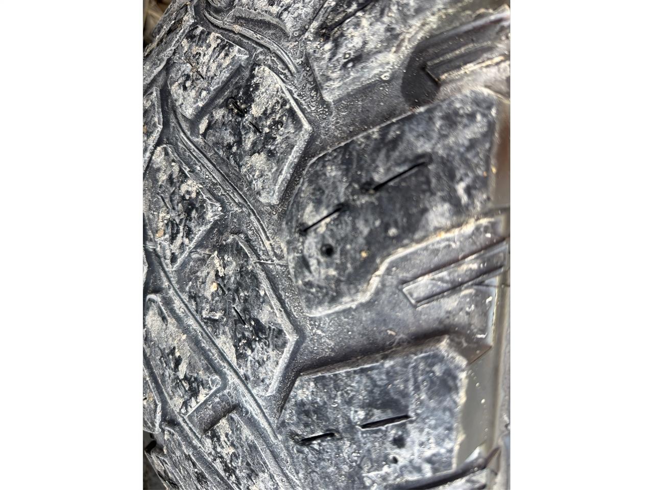 Ford Super Duty F-250 SRW  2019