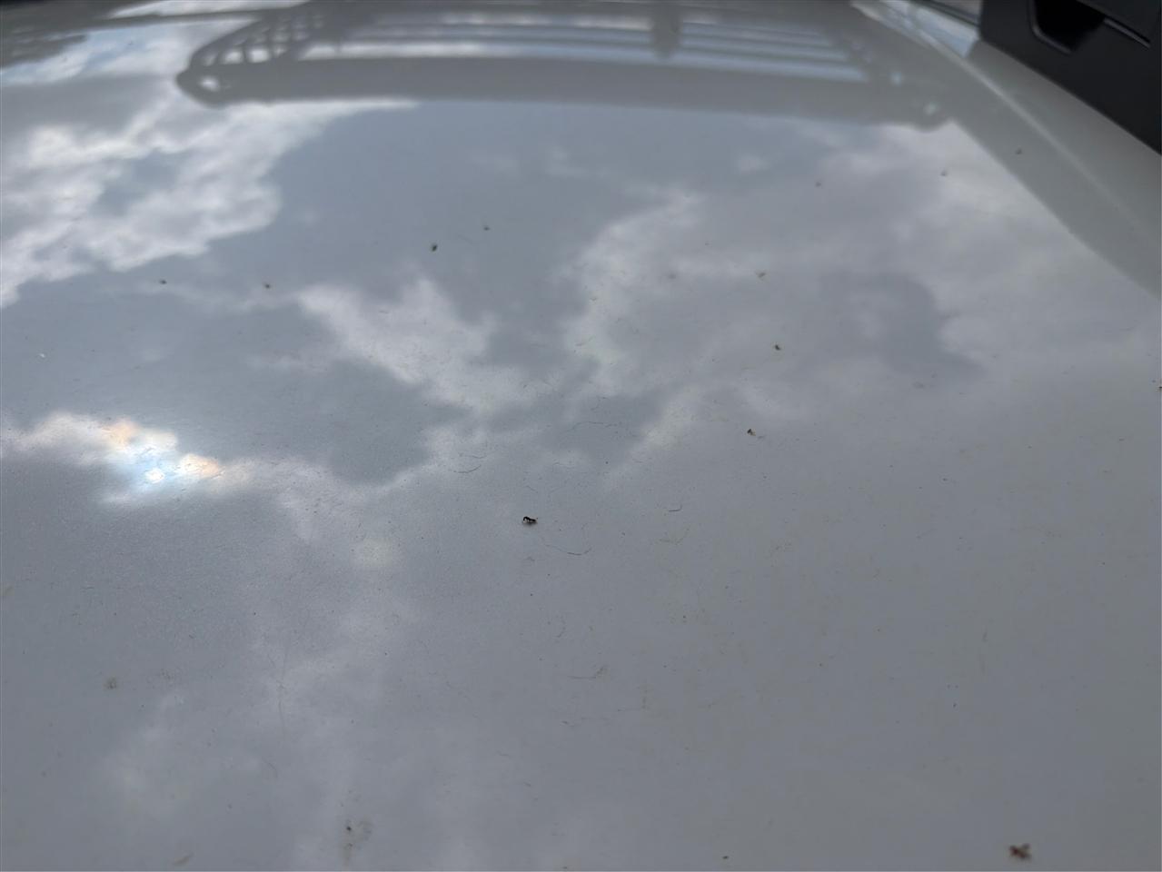 Subaru Ascent 2.4T Premium 7-Passenger 2019