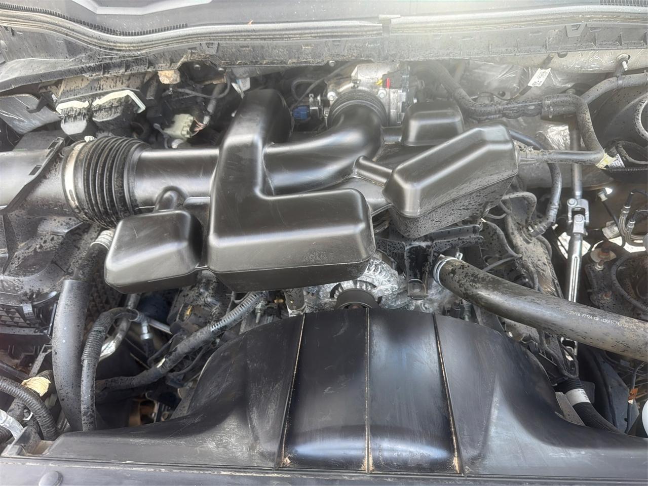 Ford Super Duty F-250 SRW XL 4WD Crew Cab 8' Box 2019