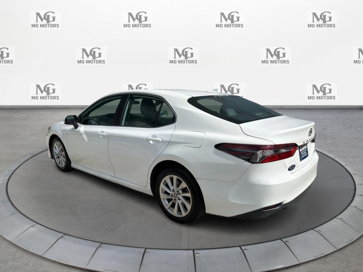 Toyota Camry LE 2021