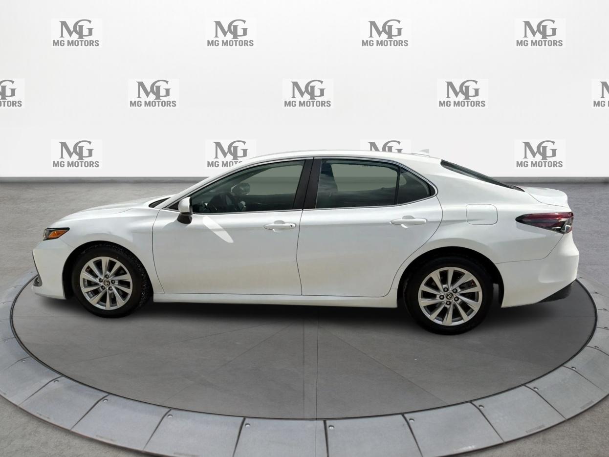 Toyota Camry LE 2021