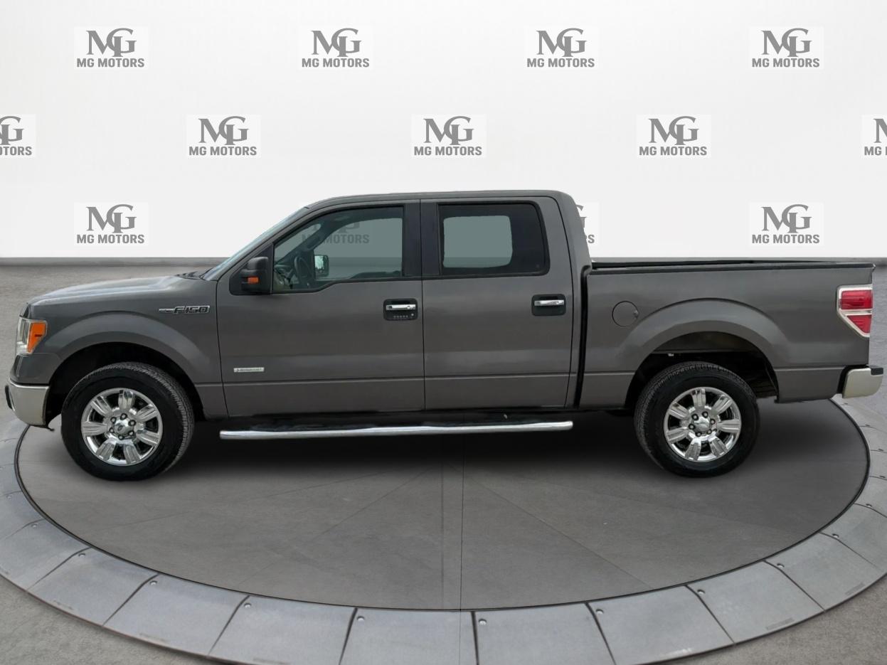 Ford F-150 2WD SuperCrew 145" XLT 2012