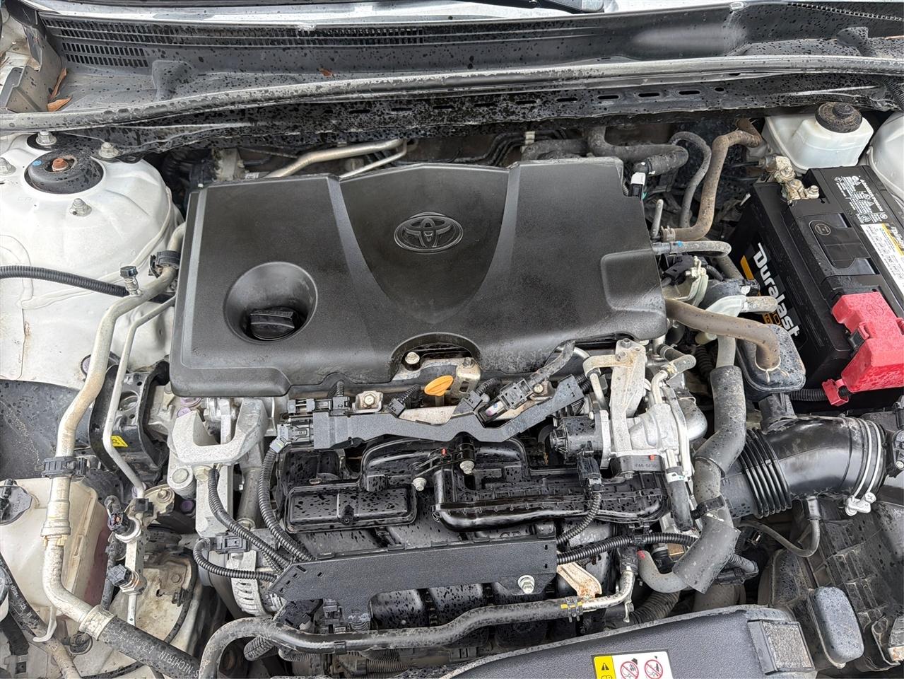 Toyota Camry SE 2019