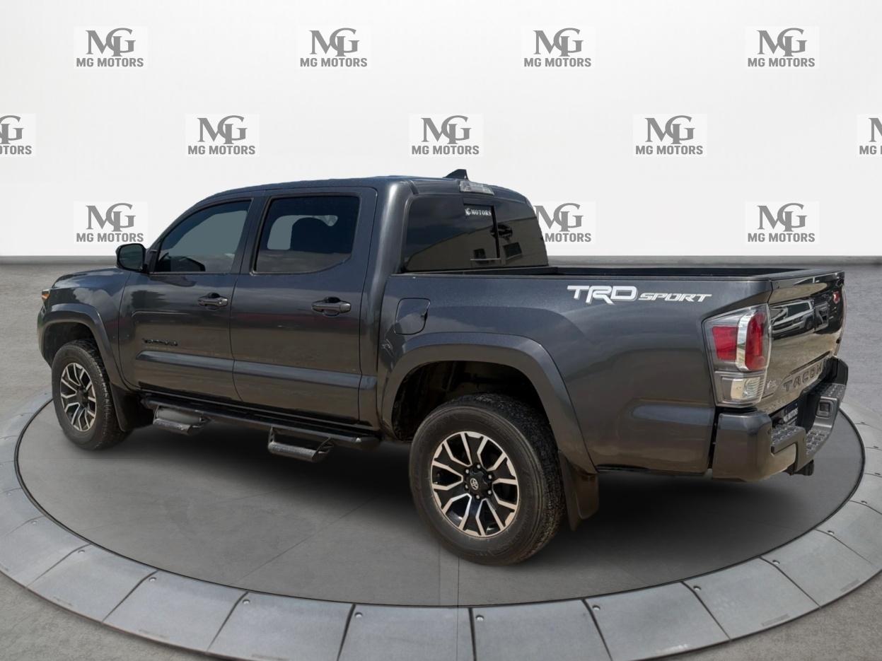 Toyota Tacoma 2WD  2022