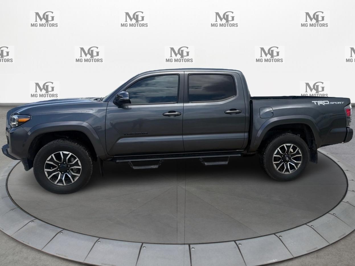 Toyota Tacoma 2WD  2022