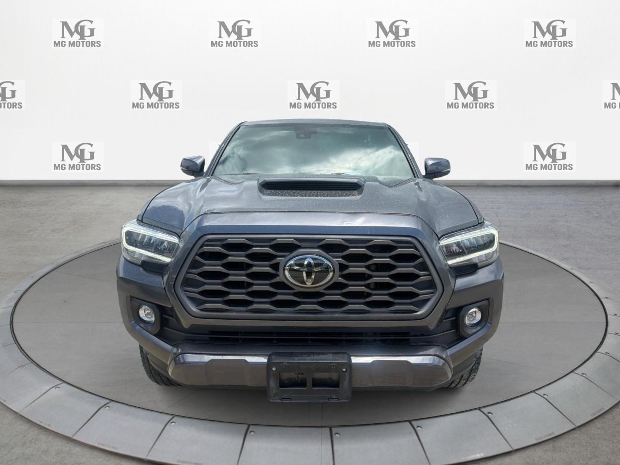 Toyota Tacoma 2WD  2022