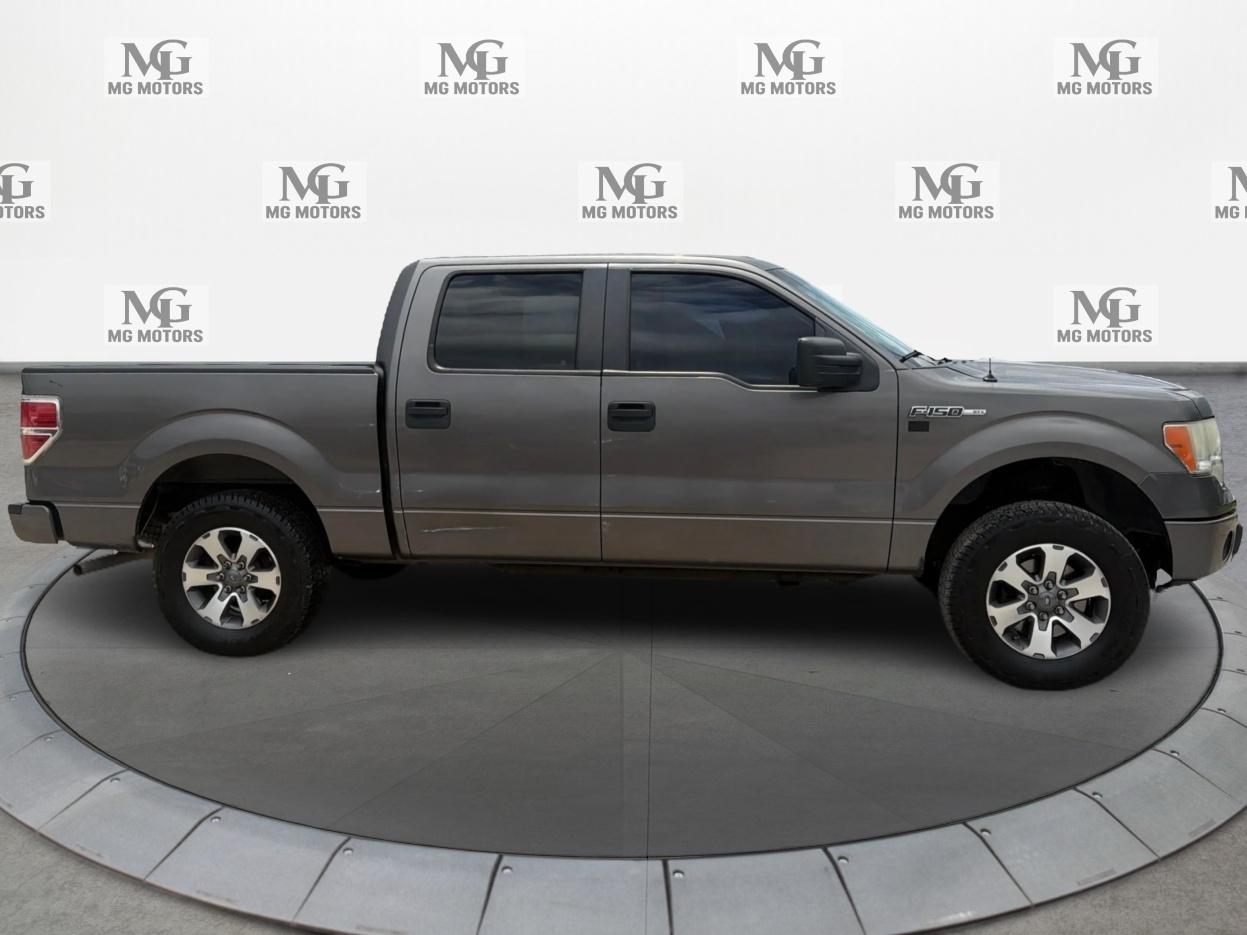 Ford F-150 2WD SuperCrew 145" XLT 2014