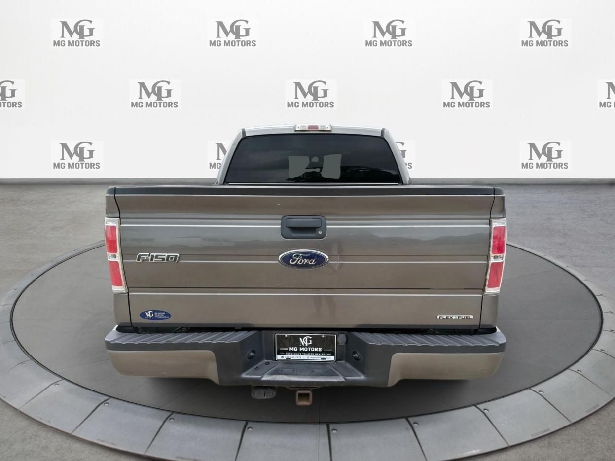 Ford F-150 2WD SuperCrew 145" XLT 2014