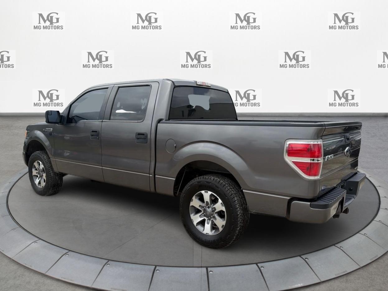 Ford F-150 2WD SuperCrew 145" XLT 2014