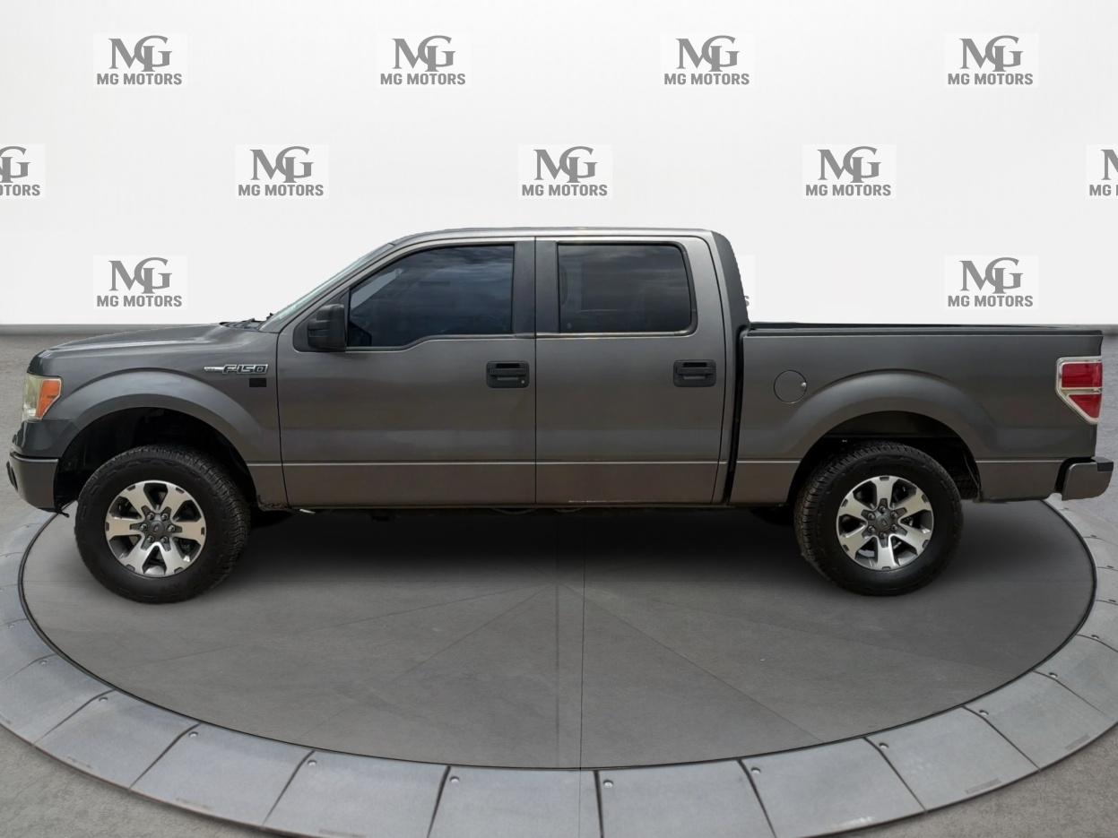 Ford F-150 2WD SuperCrew 145" XLT 2014
