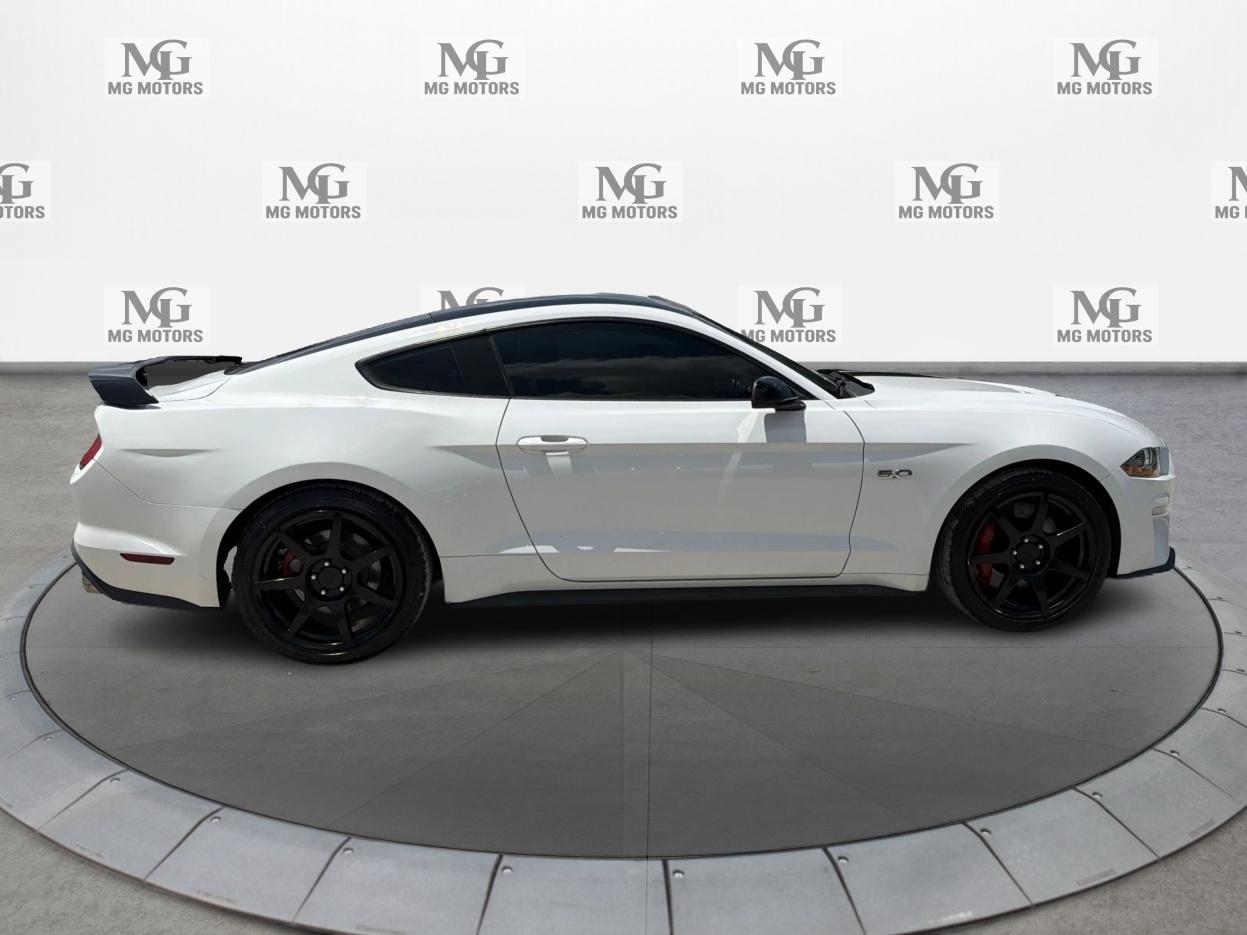 Ford Mustang GT Fastback 2019