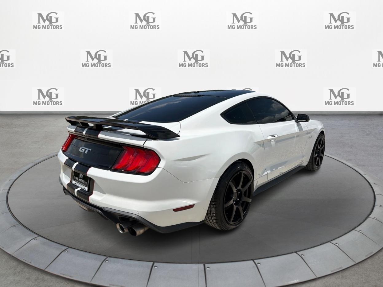 Ford Mustang GT Fastback 2019