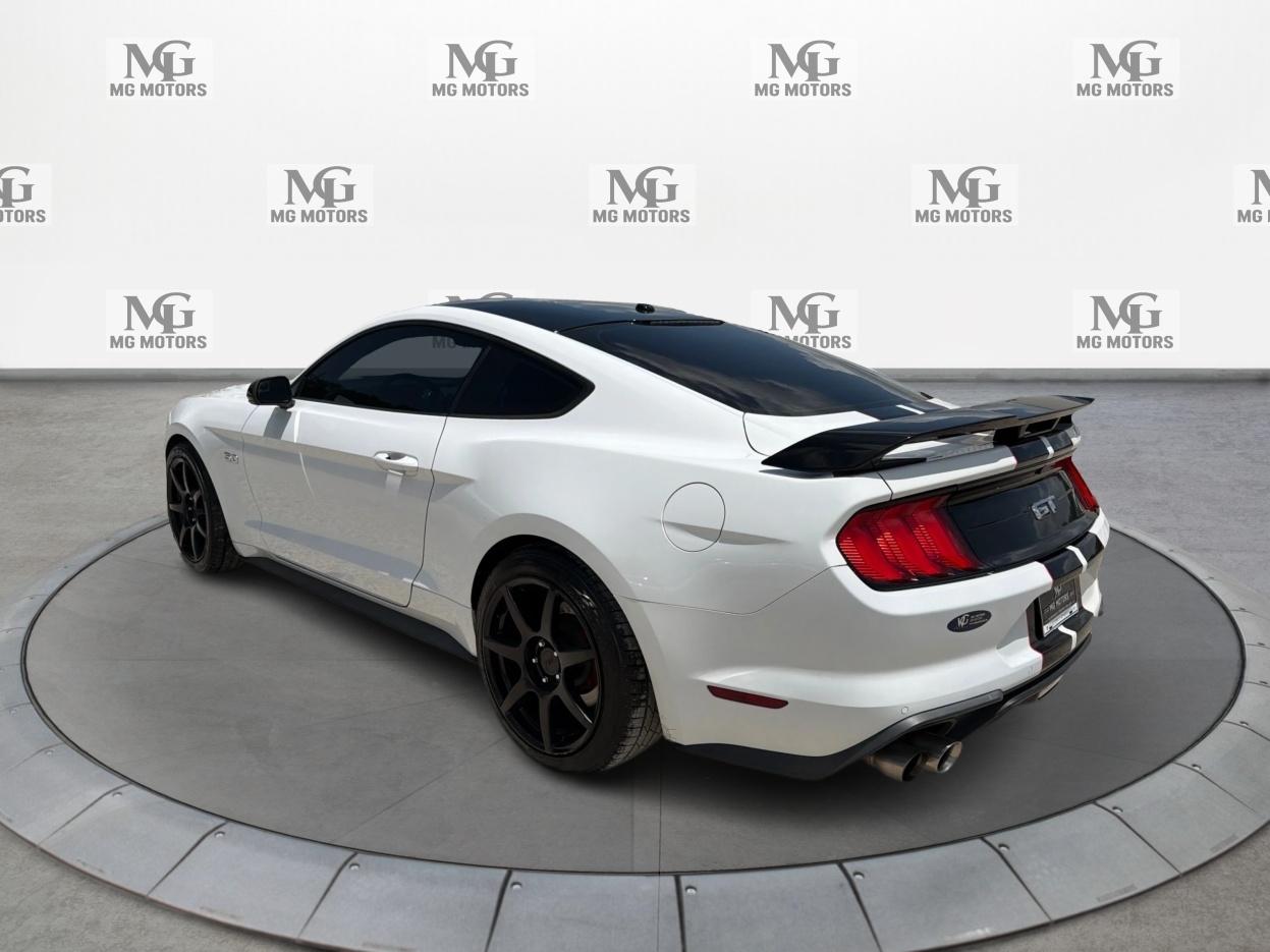 Ford Mustang GT Fastback 2019