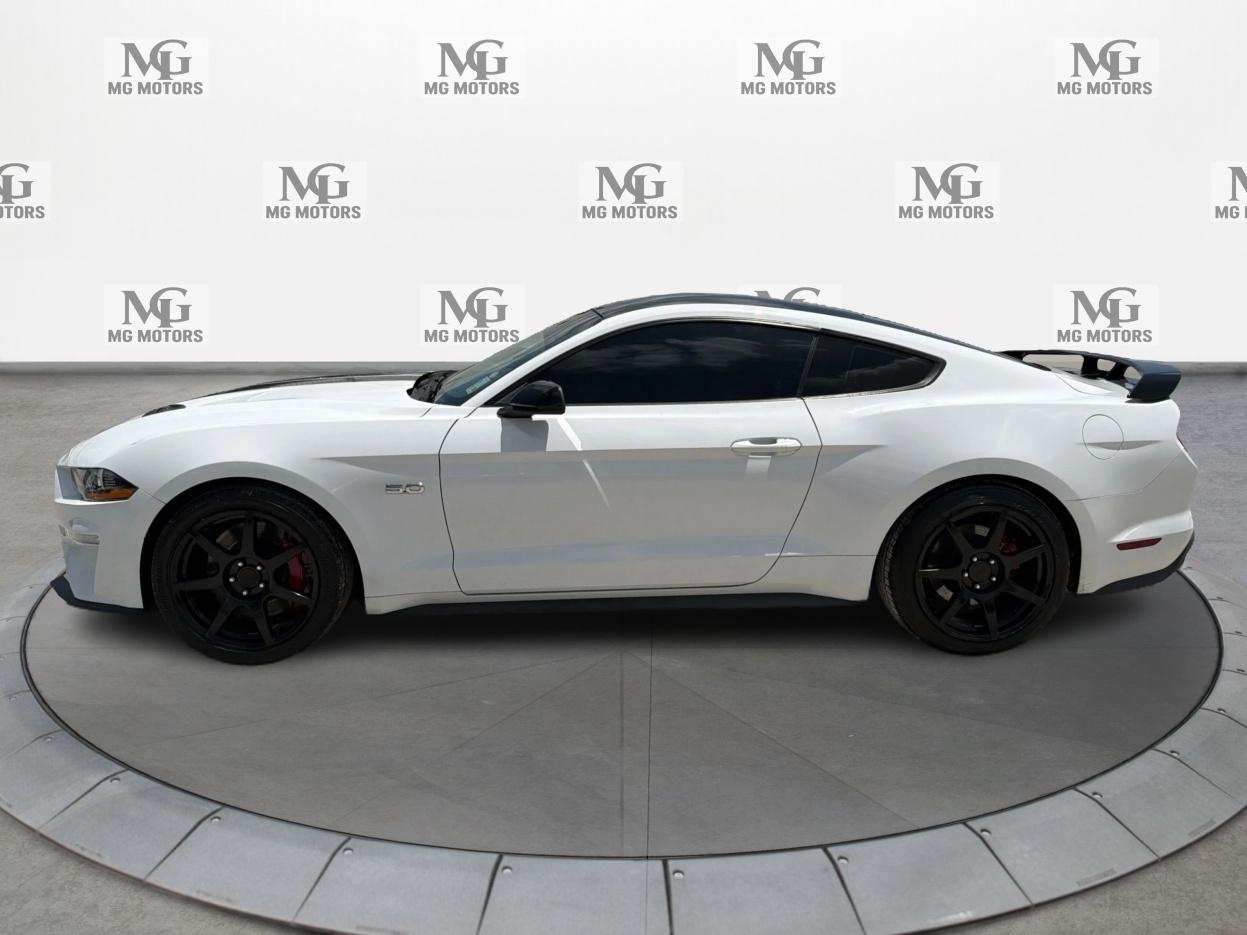 Ford Mustang GT Fastback 2019