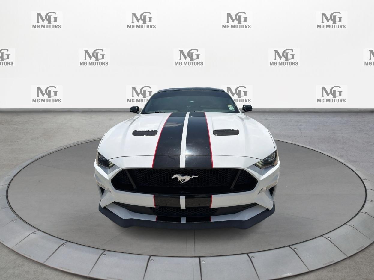 Ford Mustang GT Fastback 2019