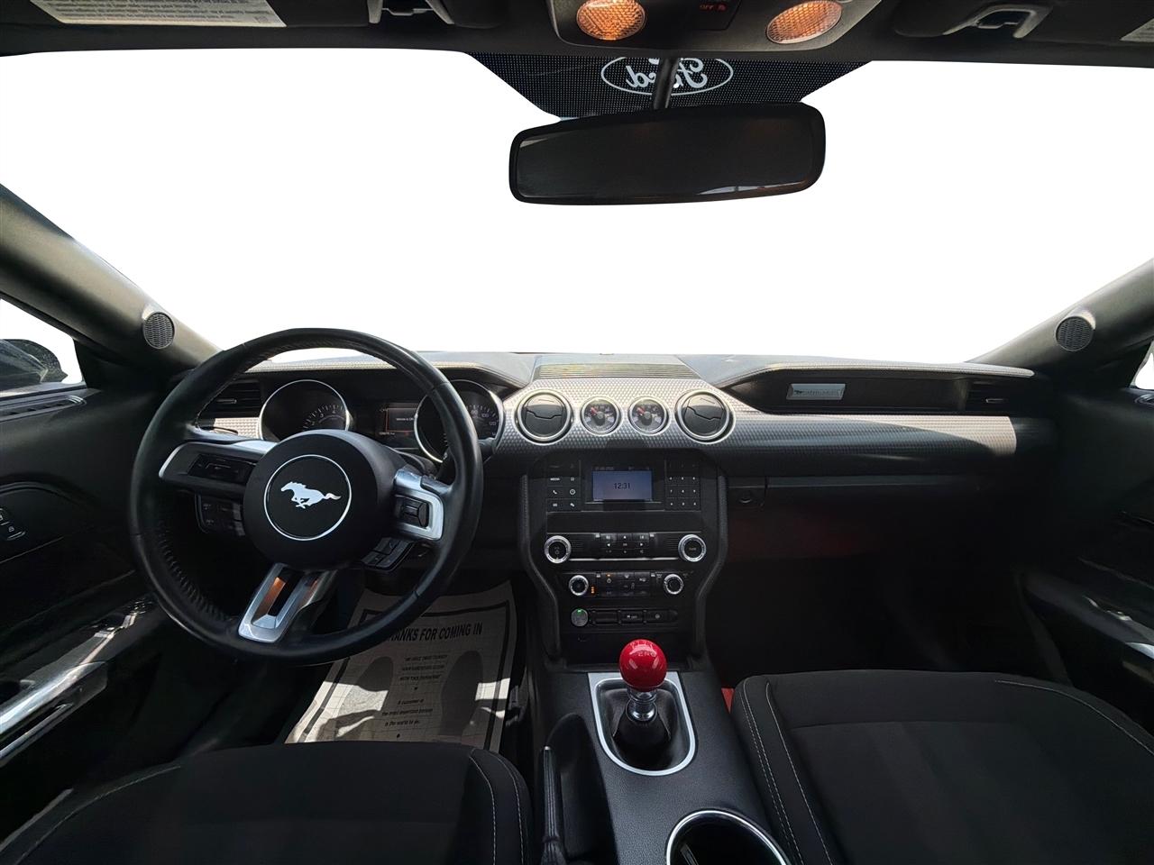 Ford Mustang GT Fastback 2019