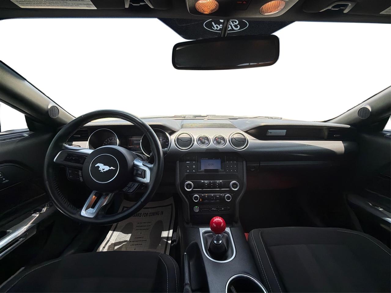 Ford Mustang GT Fastback 2019