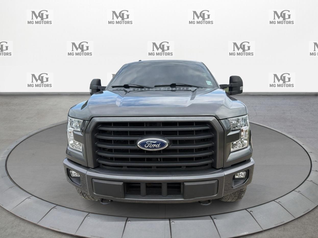 Ford F-150 XLT 4WD SuperCrew 5.5' Box 2017